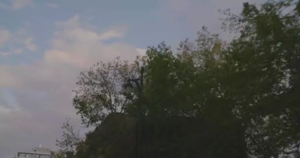 Vue de la voiture en conduisant sur Pine Avenue. — Video