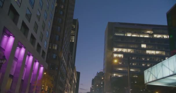 밤에 성 앙투안 거리를 운전하는 모습 — 비디오
