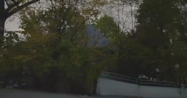 Vue sur les arbres en conduisant sur pine Avenue. — Video