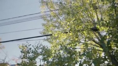 Sokak aralığının alçak açılı görüntüsü.