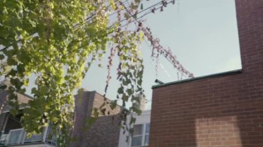 Binanın arka cephesi ara sokaktan görünüyor.