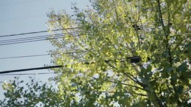 Sokak aralığının alçak açılı görüntüsü.