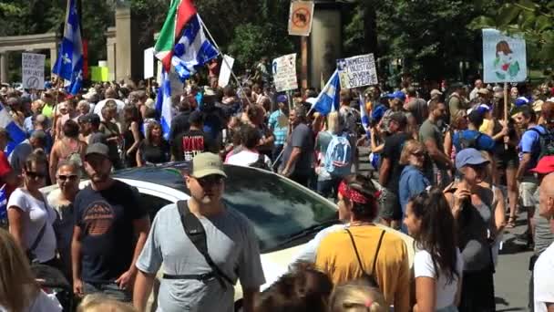 Multitud de personas de pie y caminando en manifestación — Vídeos de Stock