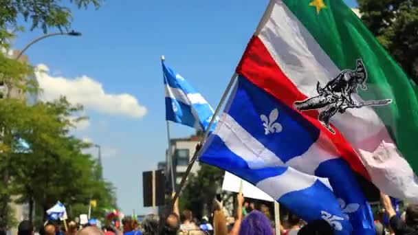 Flaga powiewająca wysoko w powietrzu podczas protestu — Wideo stockowe