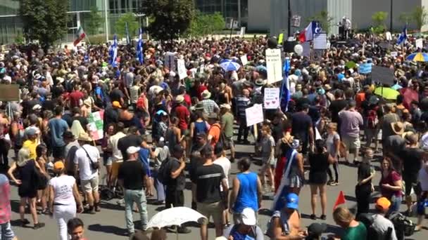 Stendardi della folla in piedi in segno di protesta — Video Stock