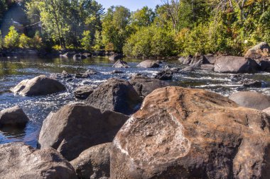 Güneşli bir ormanda, kayaların arasından akan bir nehrin manzarası huzurlu ve doğal bir manzara yaratıyor.