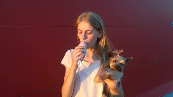 Девочка Подросток Ест Мороженое Держит Собаку Рукой Красном Фоне — стоковое видео