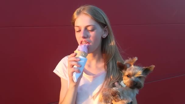 Menina Adolescente Comer Sorvete Mantém Cão Mão Fundo Vermelho — Vídeo de Stock