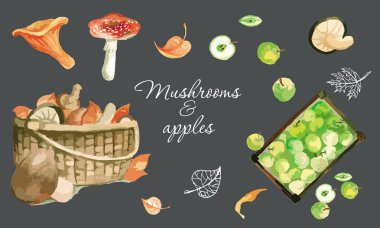 Sonbahar, yaprakları vb. kabak wonderfull suluboya resim