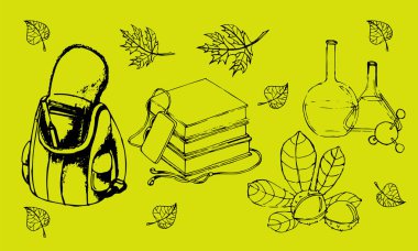 Okul vektör kümesi. Eğitim ve çalışma