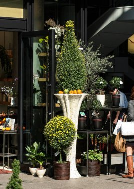 Japon tarzı parkta bina. Asya mimarisi. Japonya seyahat.