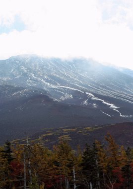 Dağlar ormanıyla kaplı. Doğa manzara içinde Japonya. Asya seyahat.