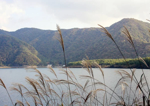 日本有烟雾缭绕的山脉和湖泊的景观 环游亚洲 — 图库照片