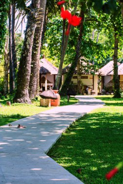 Bali yeşil orman evlerde. Endonezya doğası. Endonezya'nın peyzaj.