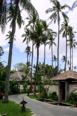 Bali beach avucunda. Endonezya doğası. Dünya çapında seyahat. Mavi gökyüzü arka plan avucunda.