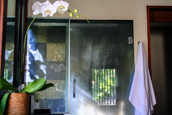 Orkide çiçekleri ile banyo iç. Endonezya dolaşmak.