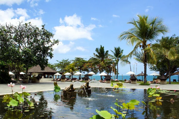 Pool Lilies Palm Trees Seascape Indonesia Fountain Looking Turtle — Stock Photo, Image