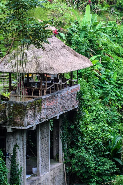 Maisons Dans Forêt Verte Bali Nature Indonésie Paysage Indonésie — Photo