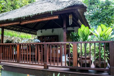 Bali yeşil orman evlerde. Endonezya doğası. Endonezya'nın peyzaj.