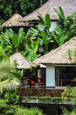 Bali yeşil orman evlerde. Endonezya doğası. Endonezya'nın peyzaj.