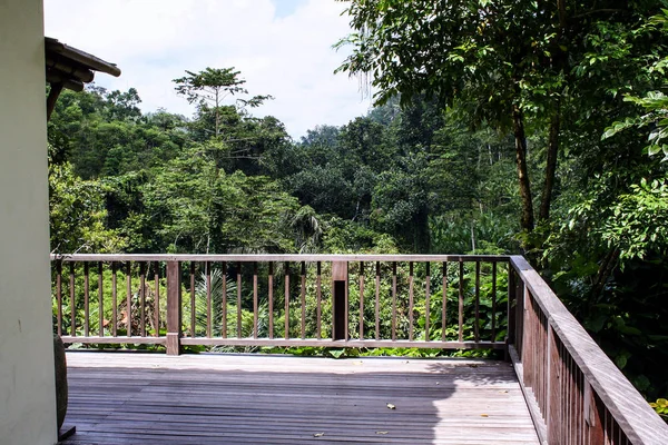 Maisons Dans Forêt Verte Bali Nature Indonésie Paysage Indonésie — Photo