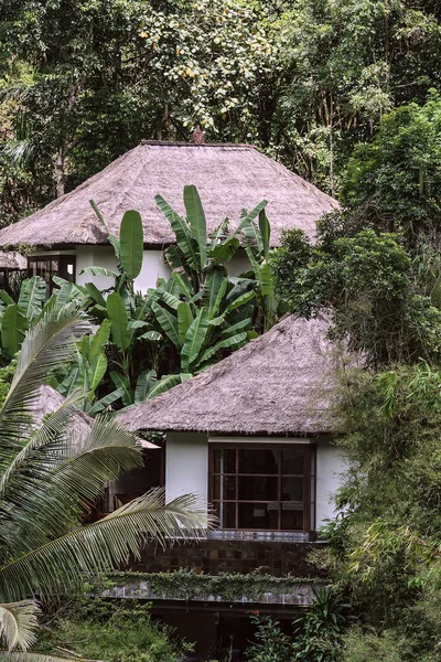 Maisons Dans Forêt Verte Bali Nature Indonésie Paysage Indonésie — Photo