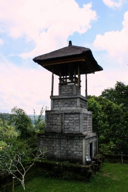 Bali yeşil orman evlerde. Endonezya doğası. Endonezya'nın peyzaj.