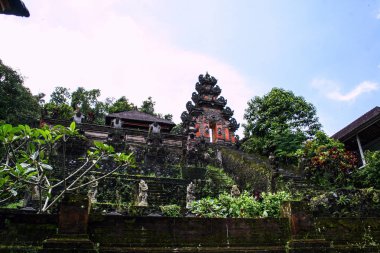 Bali yeşil orman evlerde. Endonezya doğası. Endonezya'nın peyzaj.