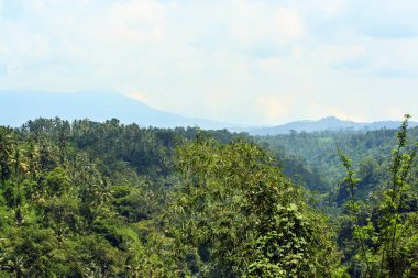 Dağlar ve mavi gökyüzü manzara. Doğa Endonezya.