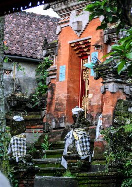 Bali yeşil orman evlerde. Endonezya doğası. Endonezya'nın peyzaj.