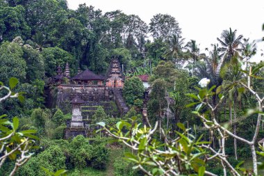Bali yeşil orman evlerde. Endonezya doğası. Endonezya'nın peyzaj.