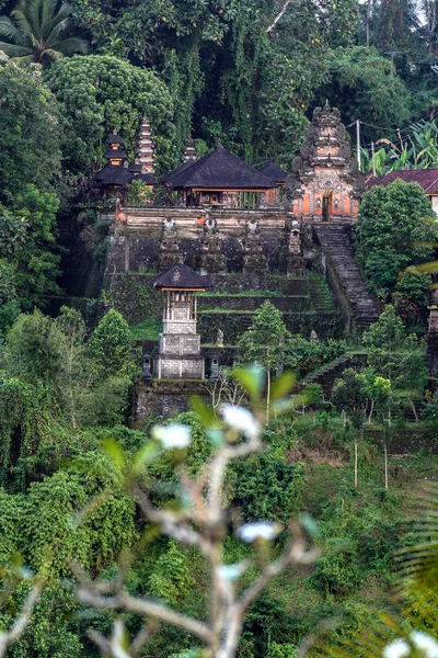 Maisons Dans Forêt Verte Bali Nature Indonésie Paysage Indonésie — Photo