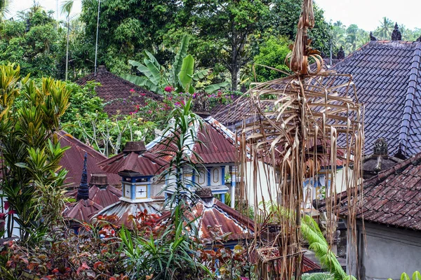 Domy Zeleném Lese Bali Příroda Indonésie Krajina Indonésie — Stock fotografie