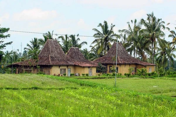 Huizen Het Groene Woud Bali Aard Van Indonesië Landschap Van — Stockfoto