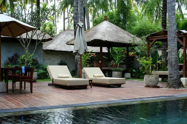 2009 11의 Sunbeds 수영장과 야자수 인도네시아의 — 스톡 사진