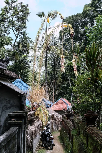 2009 Ubud Bali Ubud Bali Keskeny Utcákon Városképek Indonézia — Stock Fotó