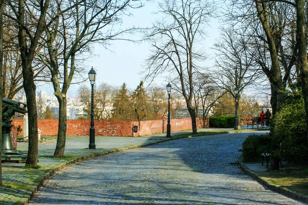 Cityscape ilkbahar parkında ile. Cityscape Budapeşte.