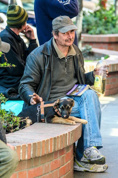 Budapest Ungarisch 2014 Ein Mann Und Ein Versteckter Hund Auf — Stockfoto