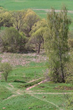 Rusya'da doğa görünümlerini.