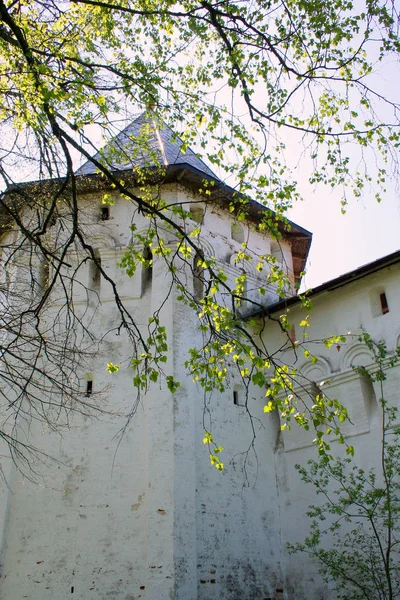 Historiska Byggnaden Och Dess Element Zelenograd Ryssland Religiös Arkitektur Ryssland — Stockfoto