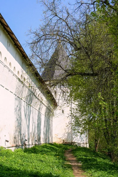 Ιστορικό Κτίριο Και Είναι Στοιχεία Zelenograd Ρωσία Θρησκευτική Αρχιτεκτονική Της — Φωτογραφία Αρχείου