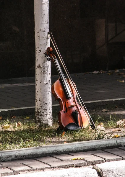 Violín Junto Árbol Calle Kiev Ucrania Instrumento Musical — Foto de Stock