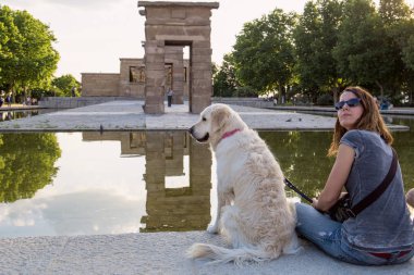 2017.05.31, Madrid, İspanya. Geçerli Debod Tapınağı Madrid arka plan üzerinde bir köpek. İspanya gezi. Madrid mimarisi. Mısır'dan Madrid tehcir içinde tarihi yapılar/Mimariler.