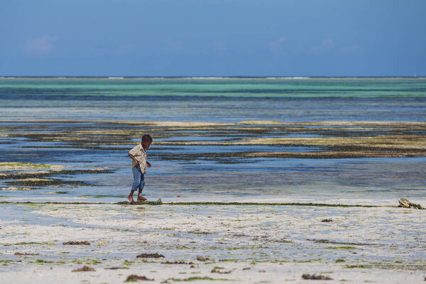 2018.02.21, Kiwengwa, Tanzania. Travel around Tanzania. A little boy on the coast on background of blue sky and ocean.