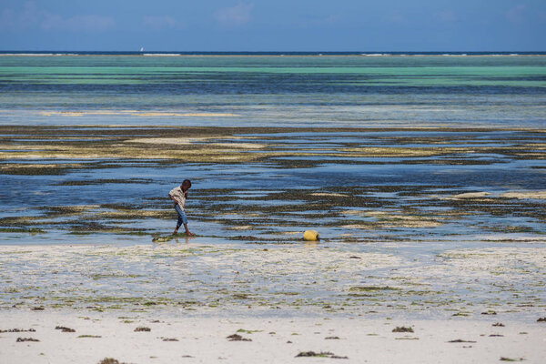 2018.02.21, Kiwengwa, Tanzania. Travel around Tanzania. A little boy on the coast on background of blue sky and ocean.