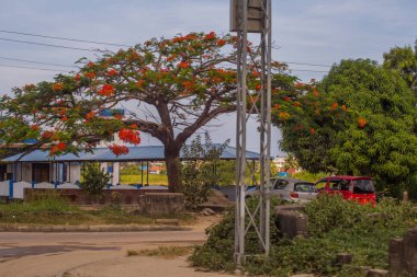 2018.02.24, Stone Town, Zanzibar, Tanzanya. Afrika çevresinde seyahat. Grup sokakta Afrika etnik insan. Market Afrika'da bir halk. Afrikalı işçi eve gidiyor.