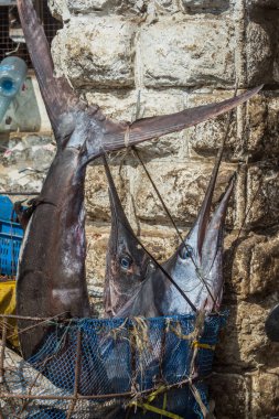 2018.02.24, Stone Town, Zanzibar, Tanzanya. Afrika çevresinde seyahat. Marlin balığı içinde belgili tanımlık çarşı.