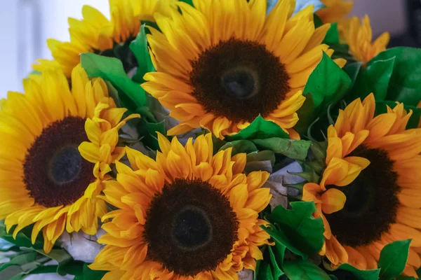 Festive bouquet of sunflowers on the window. Happy birthday to you. Most beautiful flowers of the world.