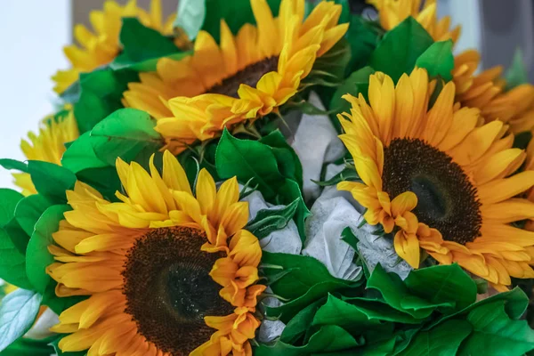 Festive bouquet of sunflowers on the window. Happy birthday to you. Most beautiful flowers of the world.