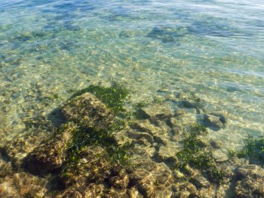 Su. Yaz aylarında deniz